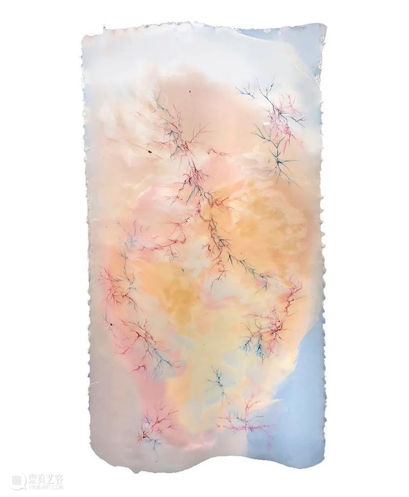 展览回顾 | 回响 ECHO 视频资讯 张嘉宁 ECHO 策展人 Curator 陆佳 Jia 艺术家 Artists 何艺雯 严许雨 张嘉宁 崇真艺客